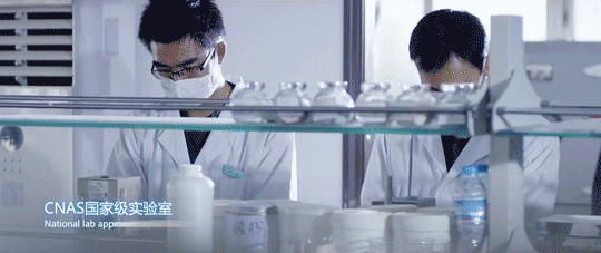 918博天堂(中国区)官方网站