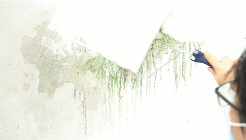 918博天堂(中国区)官方网站